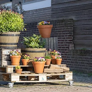  Appartement @ Nederland