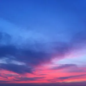 https://beach-51.zandvoort-hotels.com
